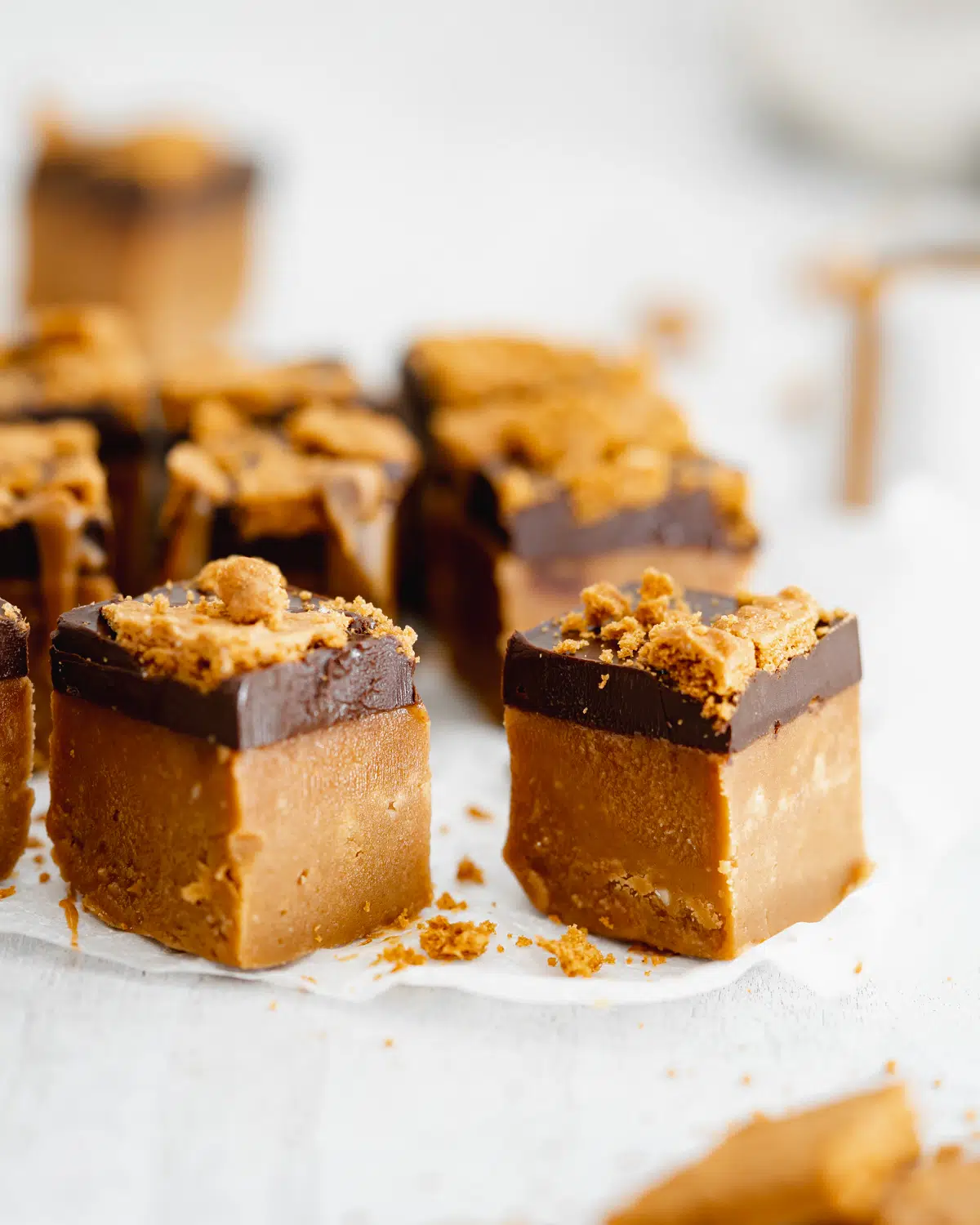 biscoff fudge bites with chocolate.